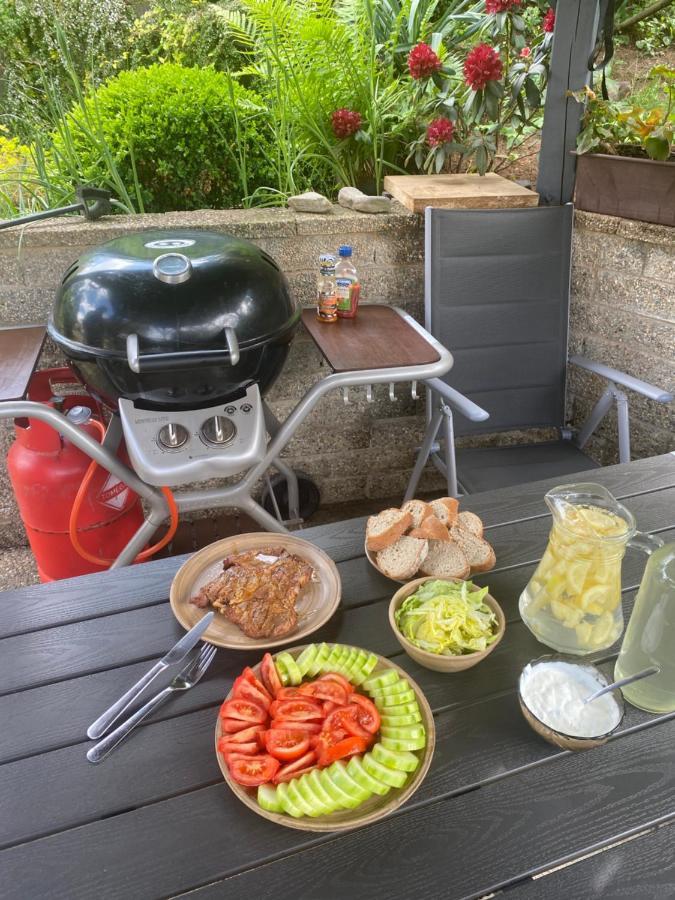 Ubytovani Pod Cimburkem Mestecko Trnavka Exteriör bild
